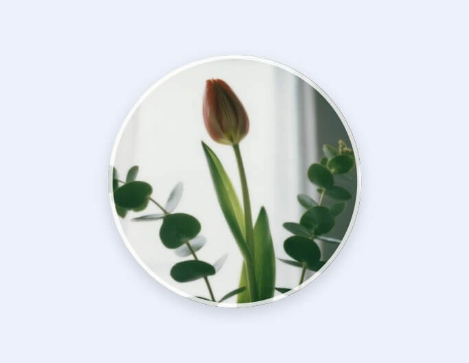 白い背景に一輪のチューリップが飾られた韓国風で大人可愛いLINEアイコン画像