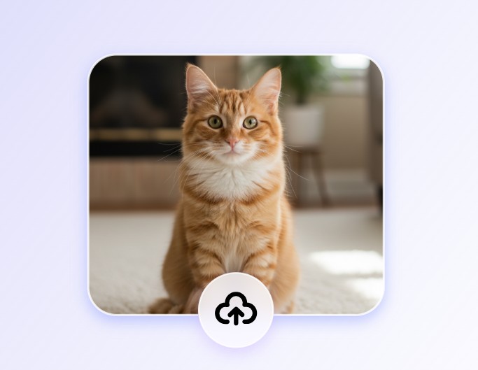 写真をアップロード