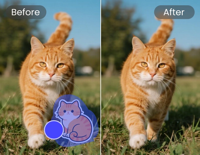 Remove a sticker from a cat photo