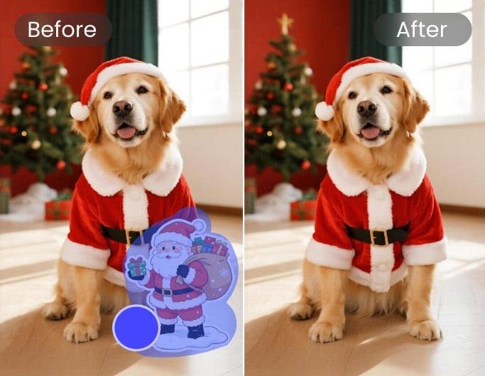 Remove a sticker from a golden dog photo