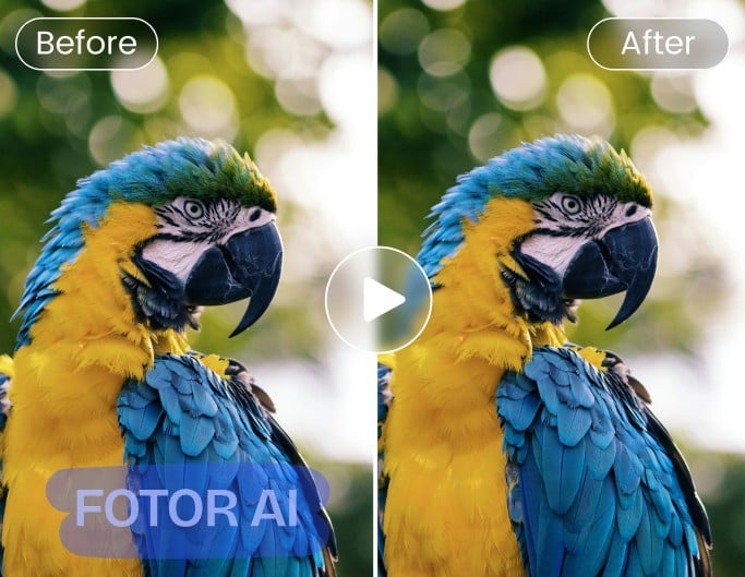Remove ai watermark from a parrot video