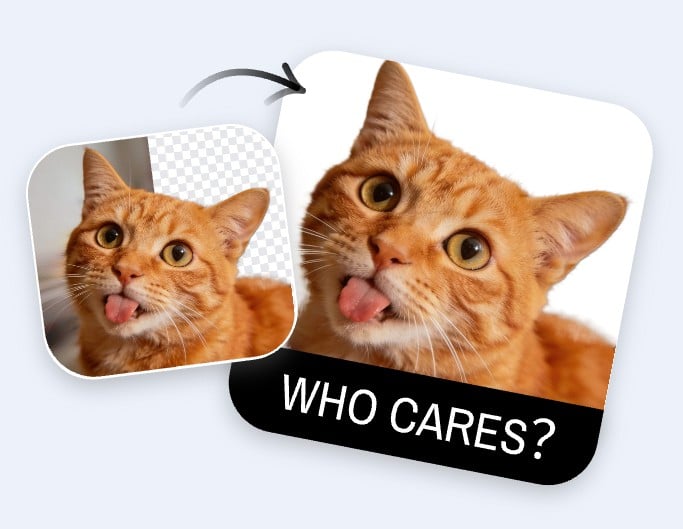 Remove background color from a cat photo to make cute sticker