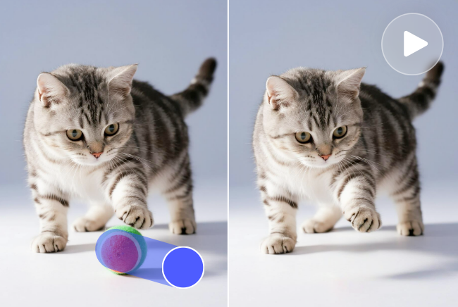 Remove the ball beside the cat in the video in Fotor AI