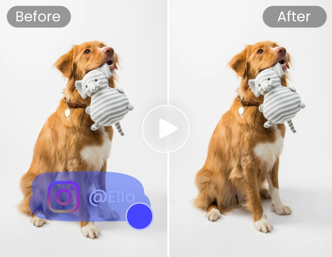Remove watermark from a video featuring a dog holding a toy in mouth