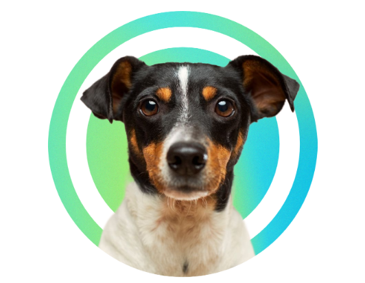Round dog profile picture