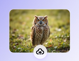 元画像をアップロード