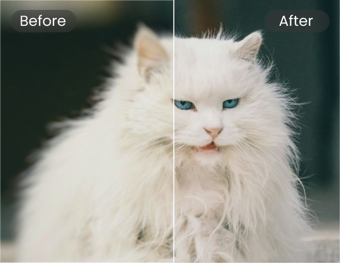 Sharpen image to improve image clarity and restore details for a clearer more defined look