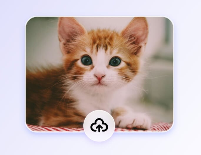 選択した画像をアップロード