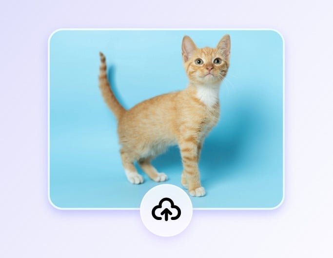 Step 1 upload an image