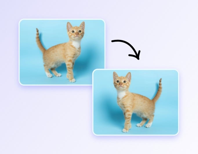 Step 2 flip image horizontally or vertically