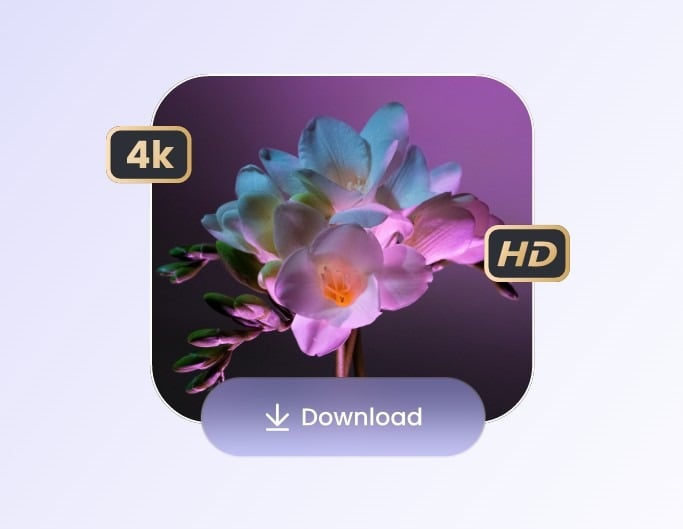 Step 3 download enhanced photo in HD or 4 K resolution without watermark