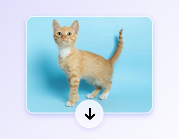 Step 3 download flipped image for free without watermarks