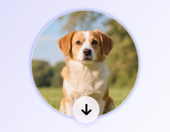 Step 3 download the cropped circular image as a JPG or PNG with a transparent background