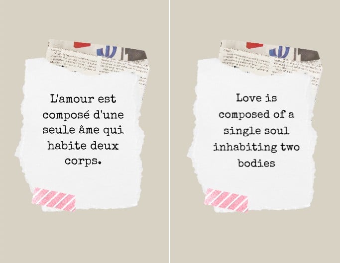 Translate French text into Englsih