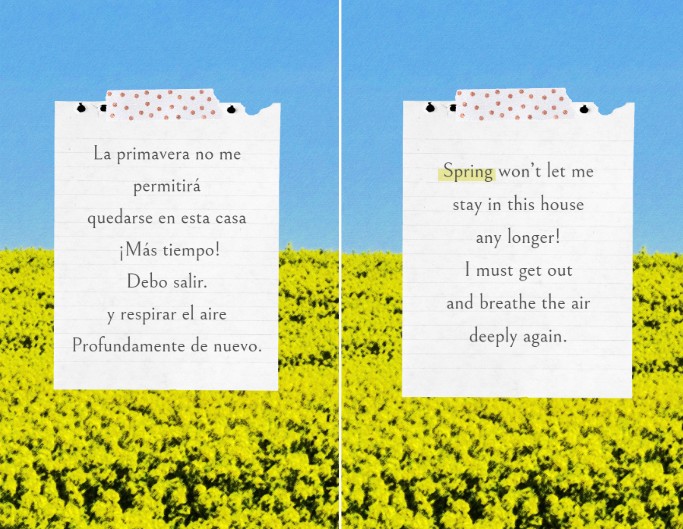 Translate Spanish to English