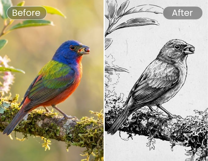 Turn a bird image into stencil art