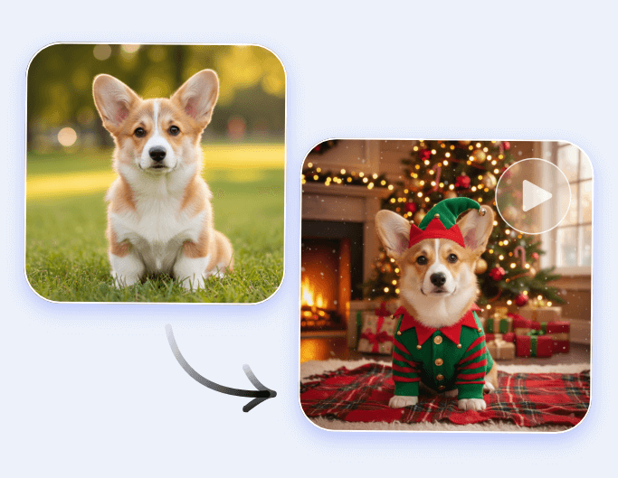 Mache einen Corgi im Video zu einem Weihnachts-Elfen