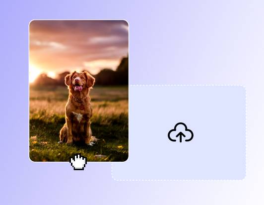 Ein Hundefoto im Hochformat hochladen