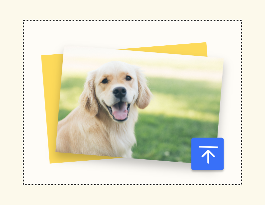 Загрузите изображение собаки в Fotor для изменения размера