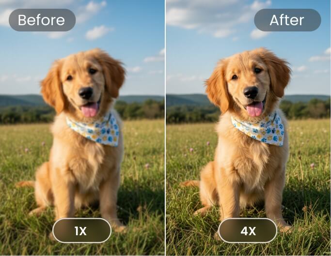 Upscale a photo of a cute puppy from 1x to 4x