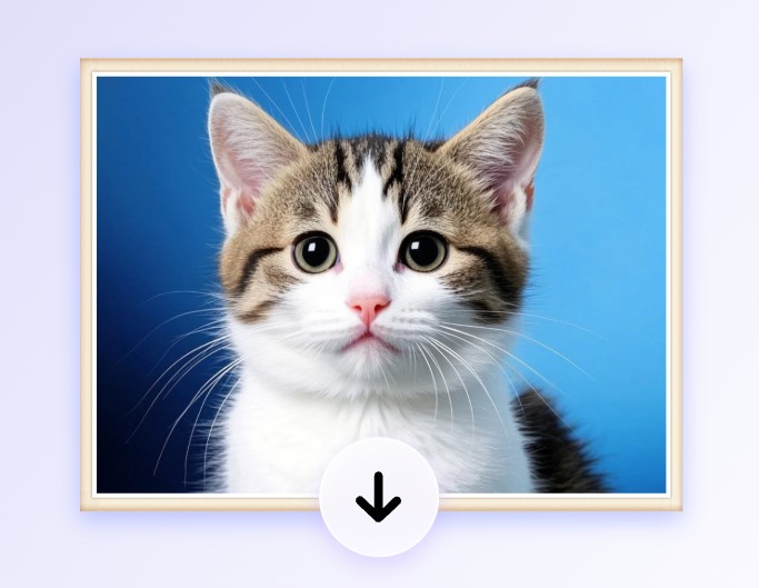 第三步完成設計下載帶有邊框的貓咪相片