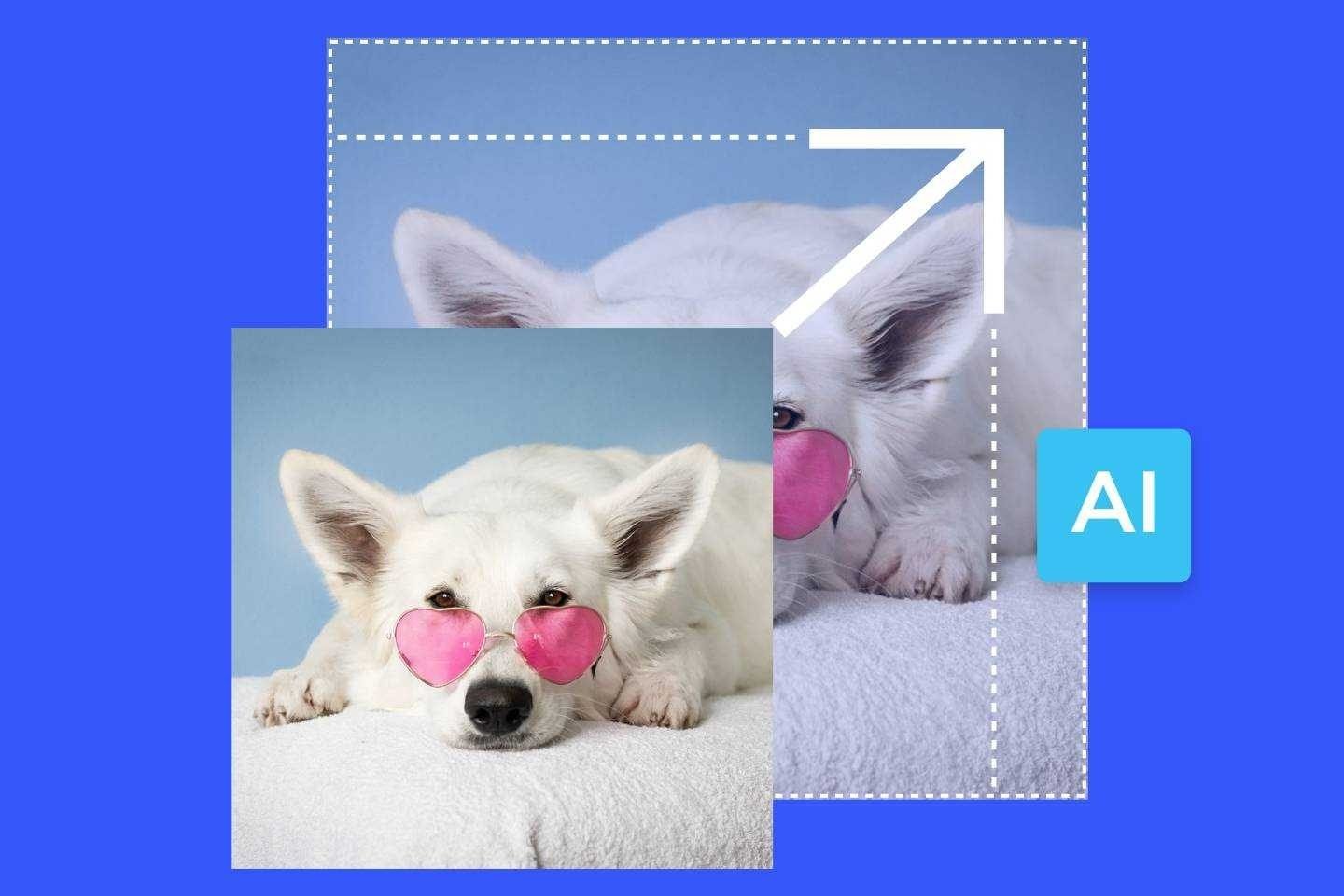 โปรแกรมขยายภาพออนไลน์ฟรีของ Fotor