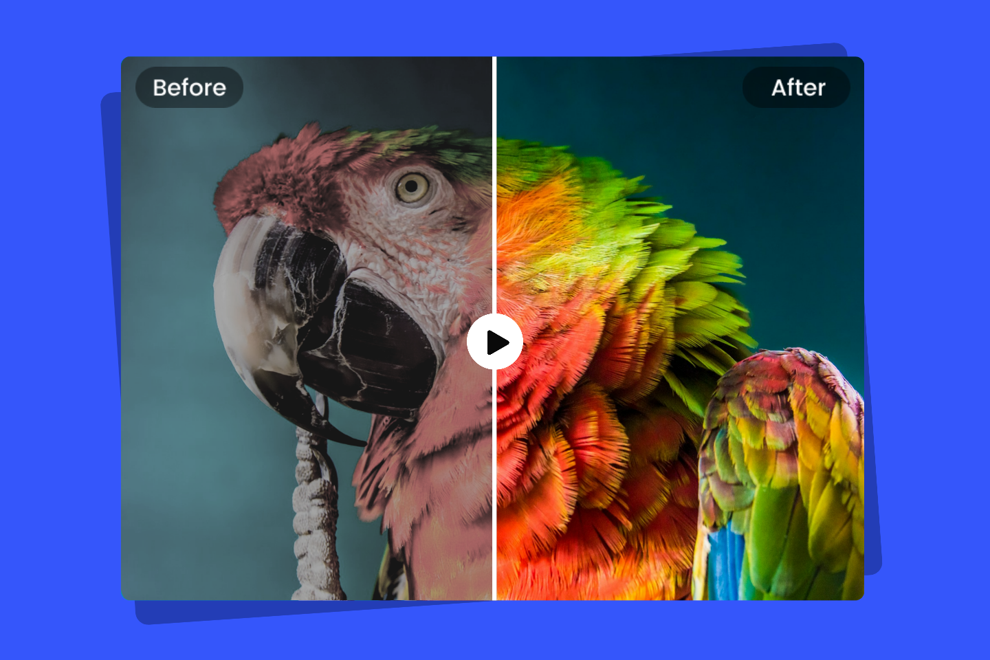 Colour Palette Before and After Color Grade Video Transition Tutorial In  Mobile 