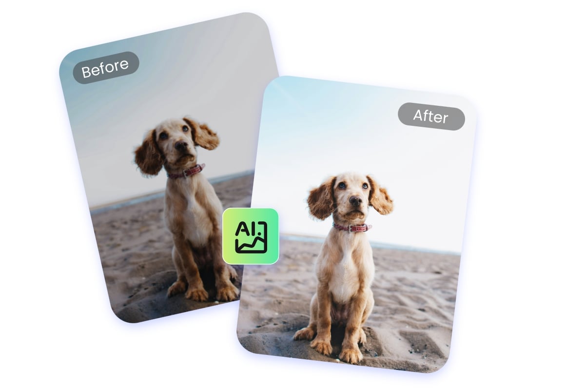 A before and after image about brightening a dark photo of a dog with ai