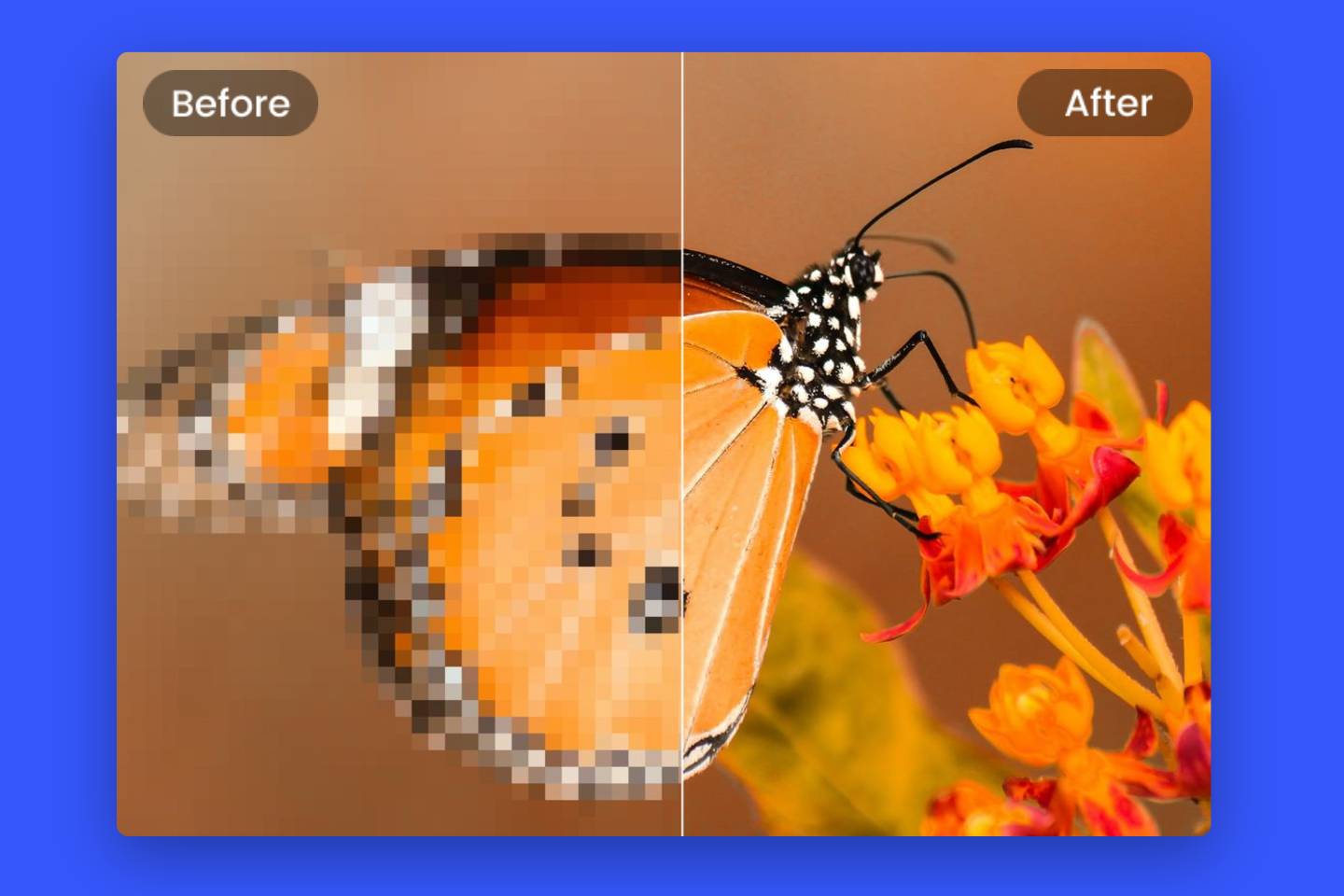 How To Fix Pixelated Image Restore The Quality Of Your Image