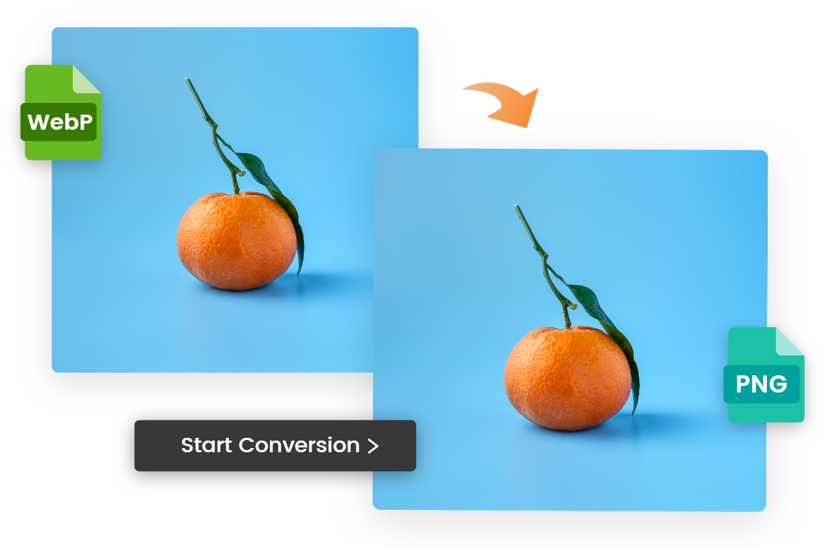 Convertir WebP en JPG en ligne gratuitement | Fotor