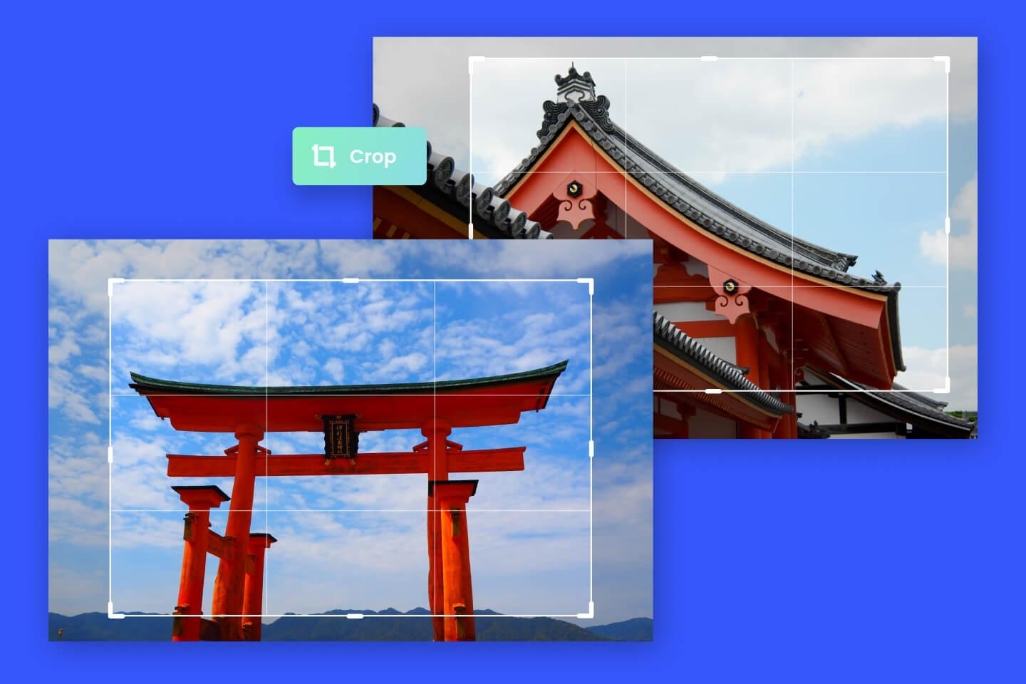 Features crop jp top