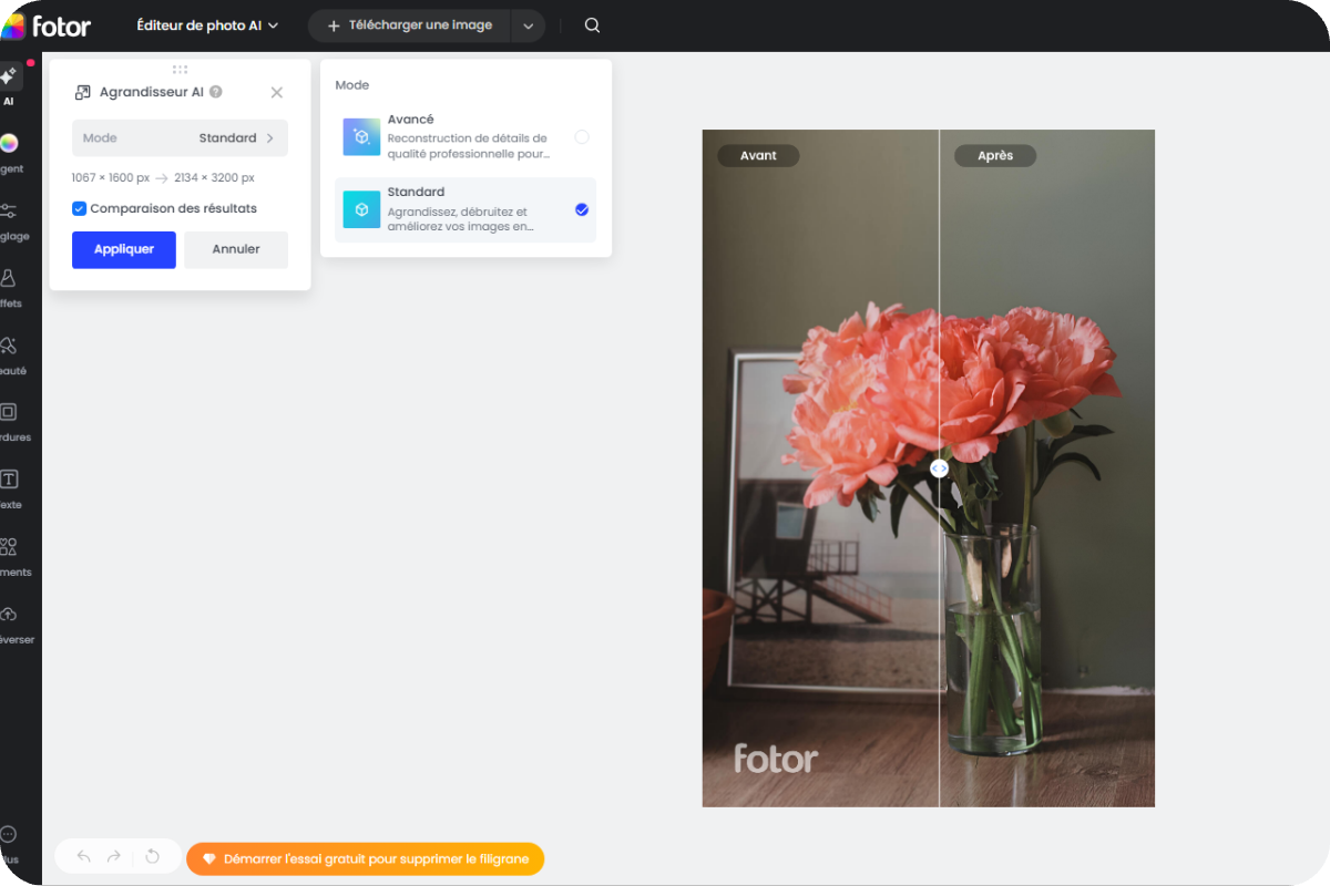 Comment enlever une ombre sur une photo en ligne