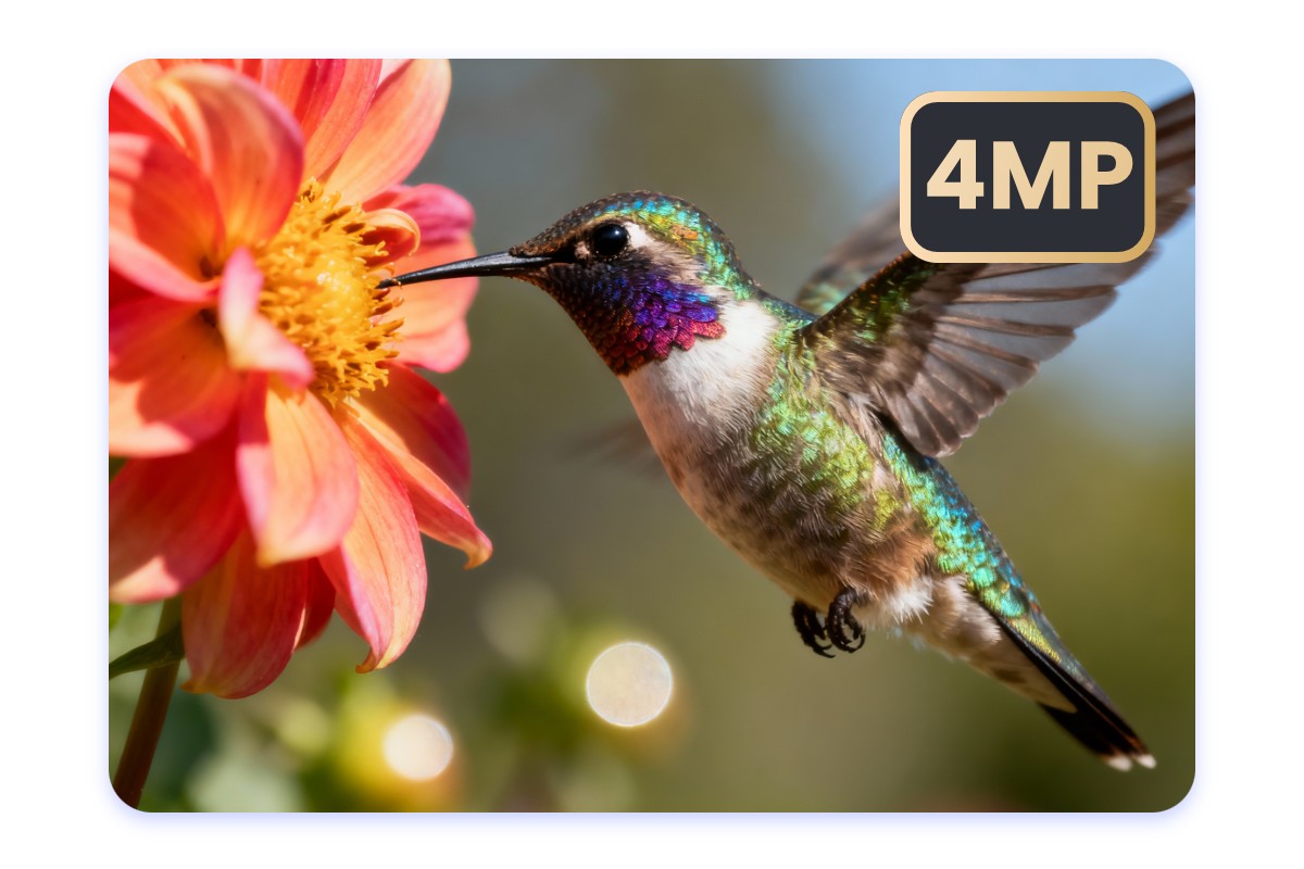 4mp resolutions photorealistic flux 2 ai image output