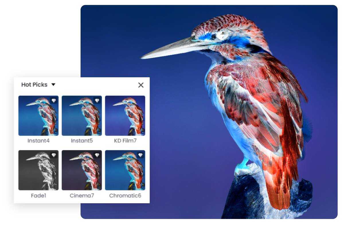 make-negative-images-online-in-seconds-for-free-fotor
