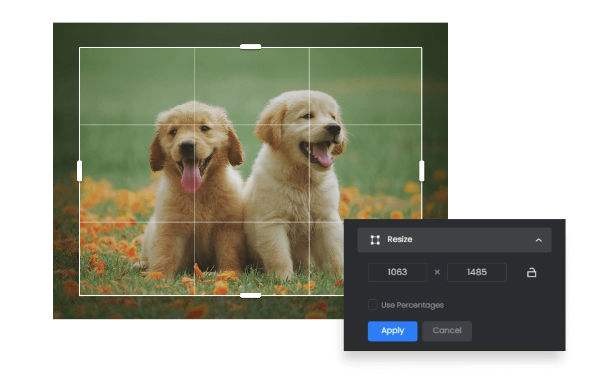 Cambiar el tamaño de la imagen del perro sin estirar