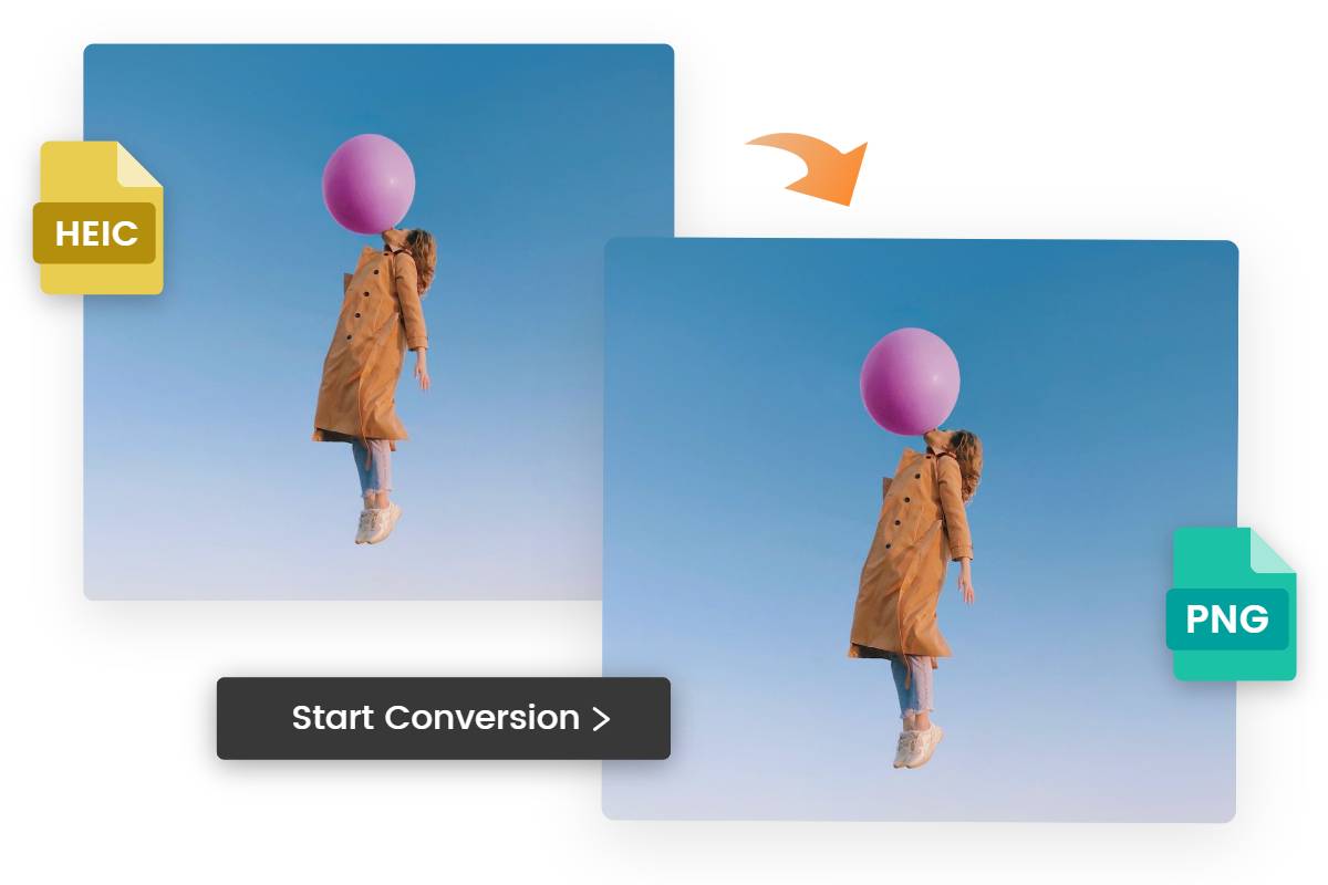 Convert HEIF to PNG using Fotor HEIF to PNG converter