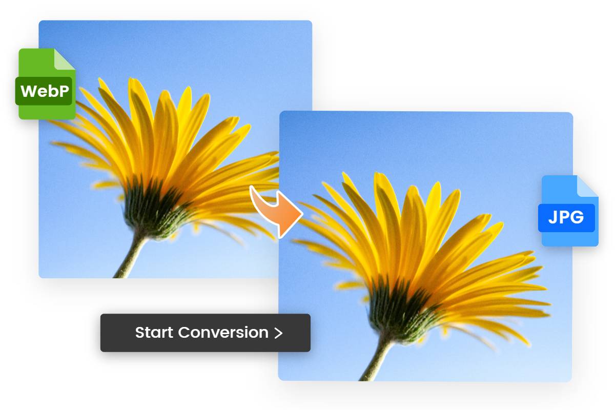How to Save WebP as JPG: Step-by-step Guide | Fotor