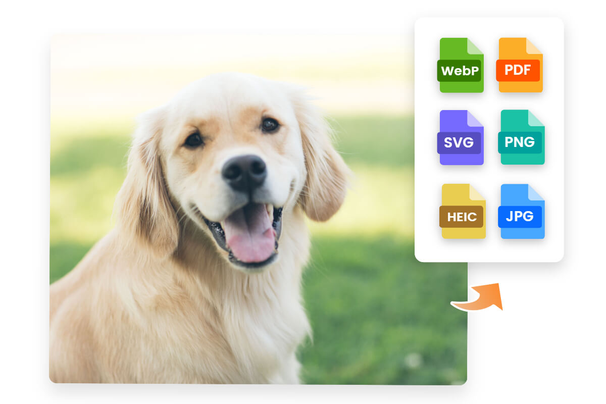 Convert a dog photo to different file formats