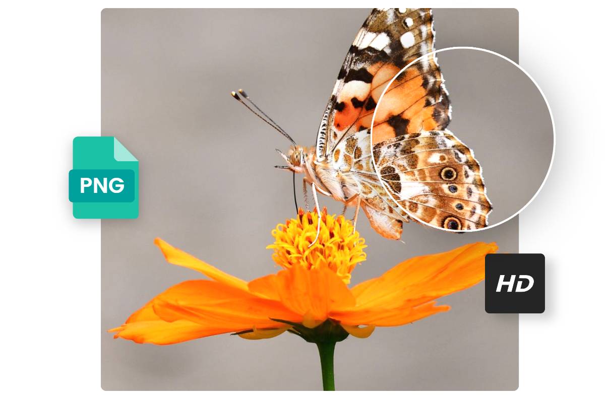 png-converter-convert-image-to-png-online-fast-easy-fotor