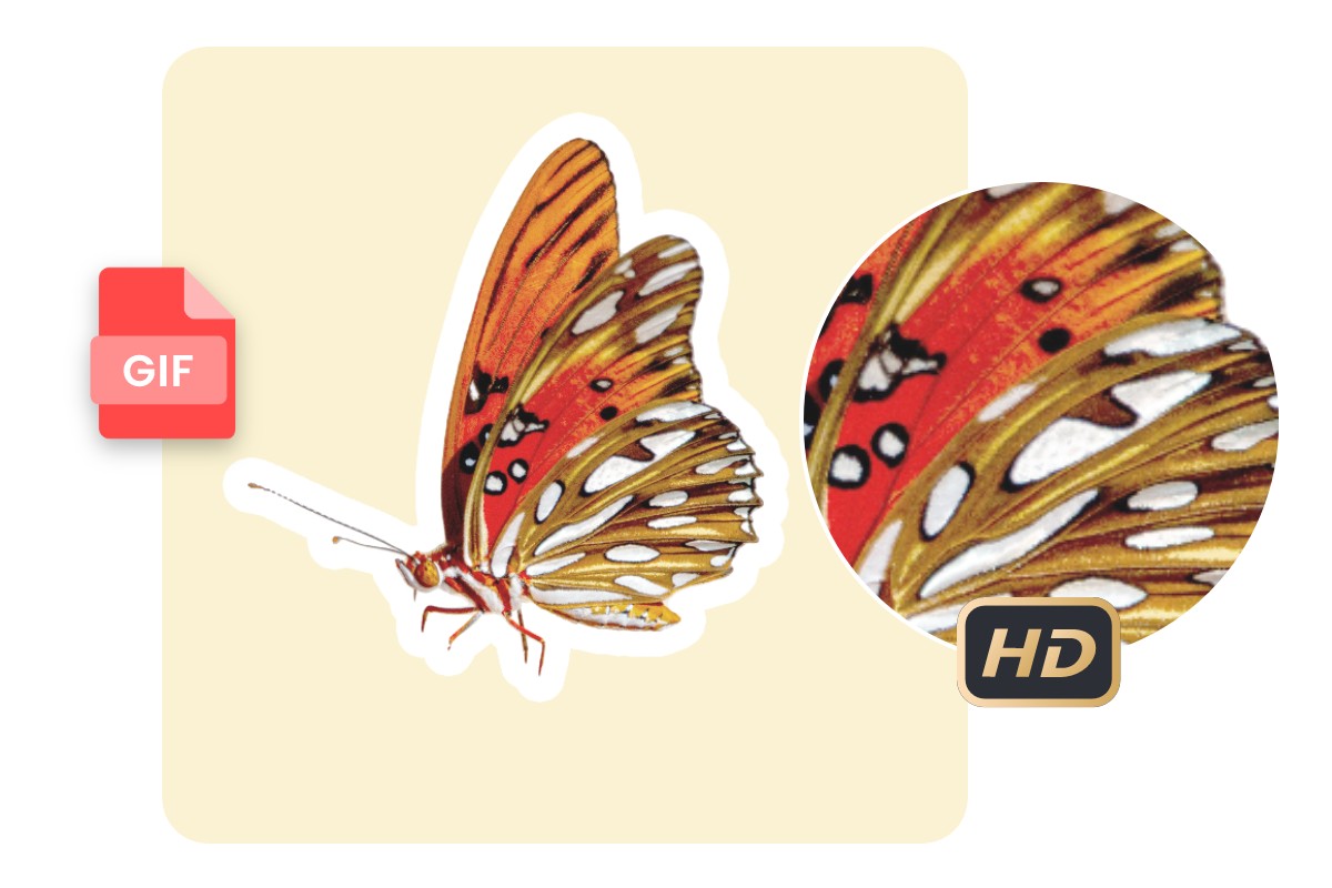 Convert one orange butterfly from svg to gif format without losing quality in Fotor online svg to gif converter