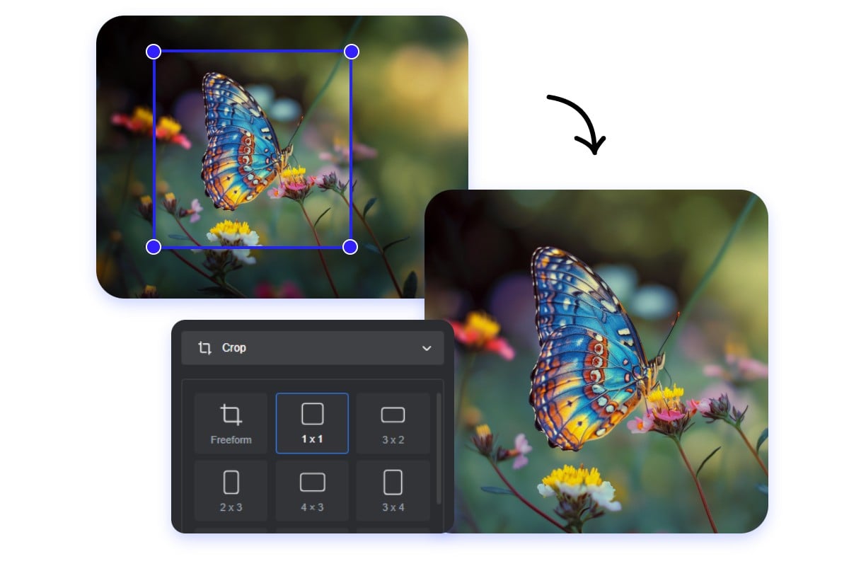Crop a rectangular image of a colorful butterfly into a 1:1 square