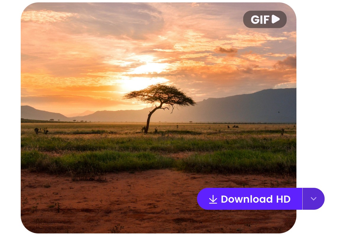 Download Your GIF With High quality MP4 File in a Click1