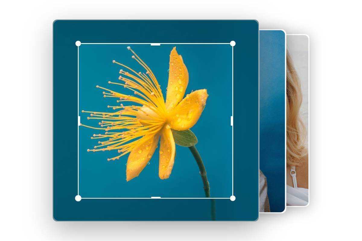 Scale Image: Free Online Image Scaler