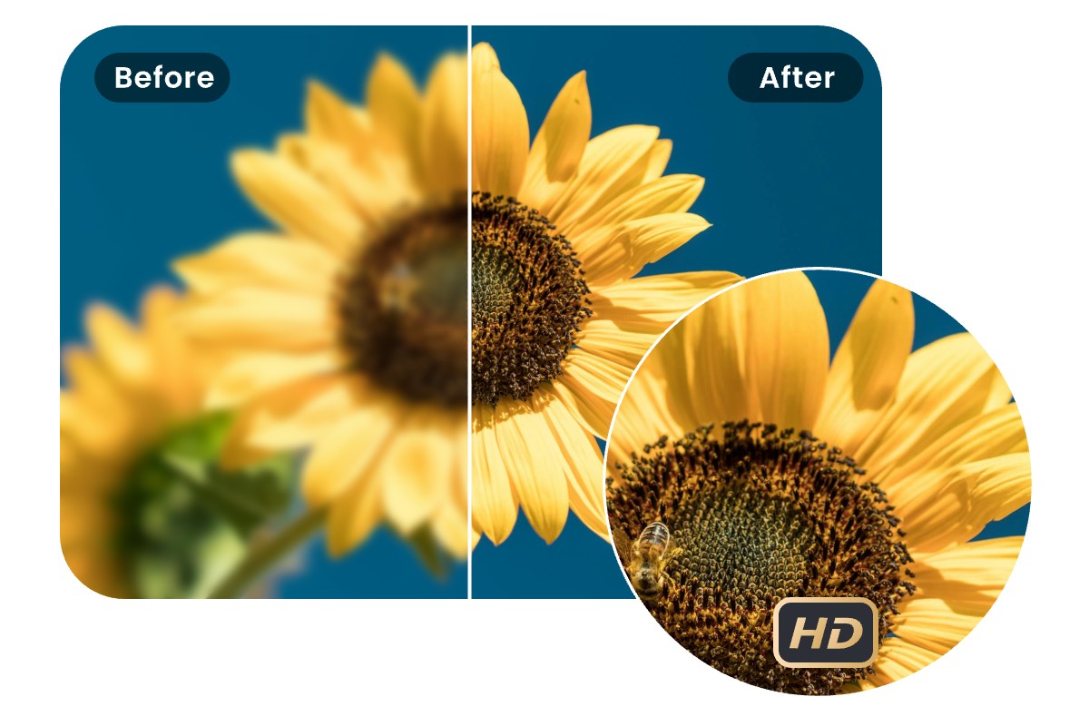 Enlarge Images for High Quality Printing