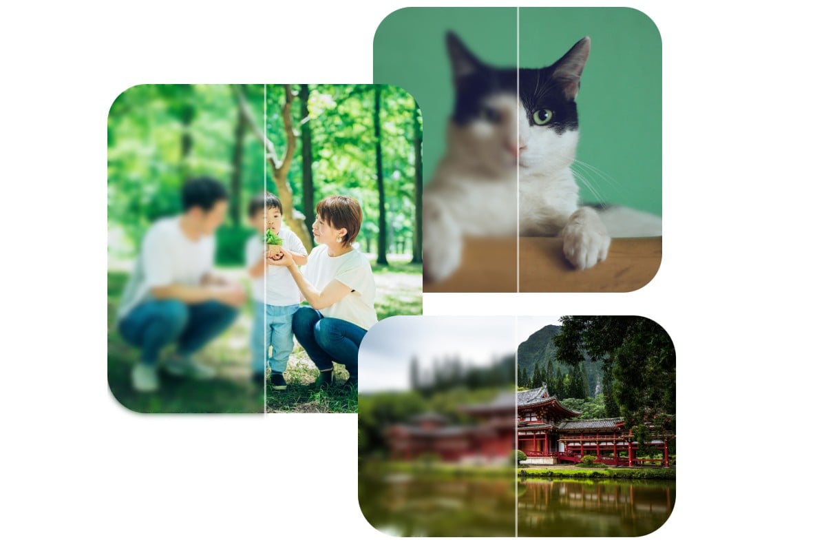 Fotorであらゆる用途のために写真のボケを補正することができる