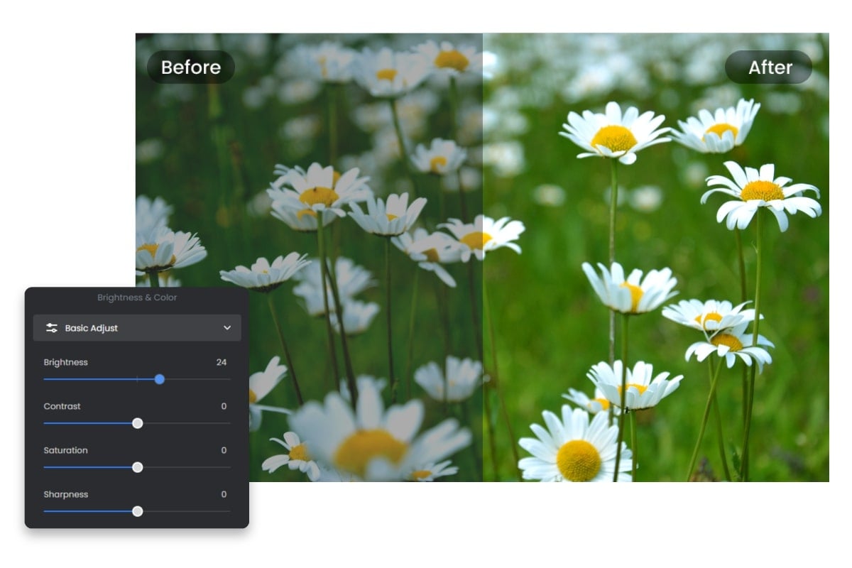 Further edit photo brightness, contract, sharpness and more to enhance photo using Fotor