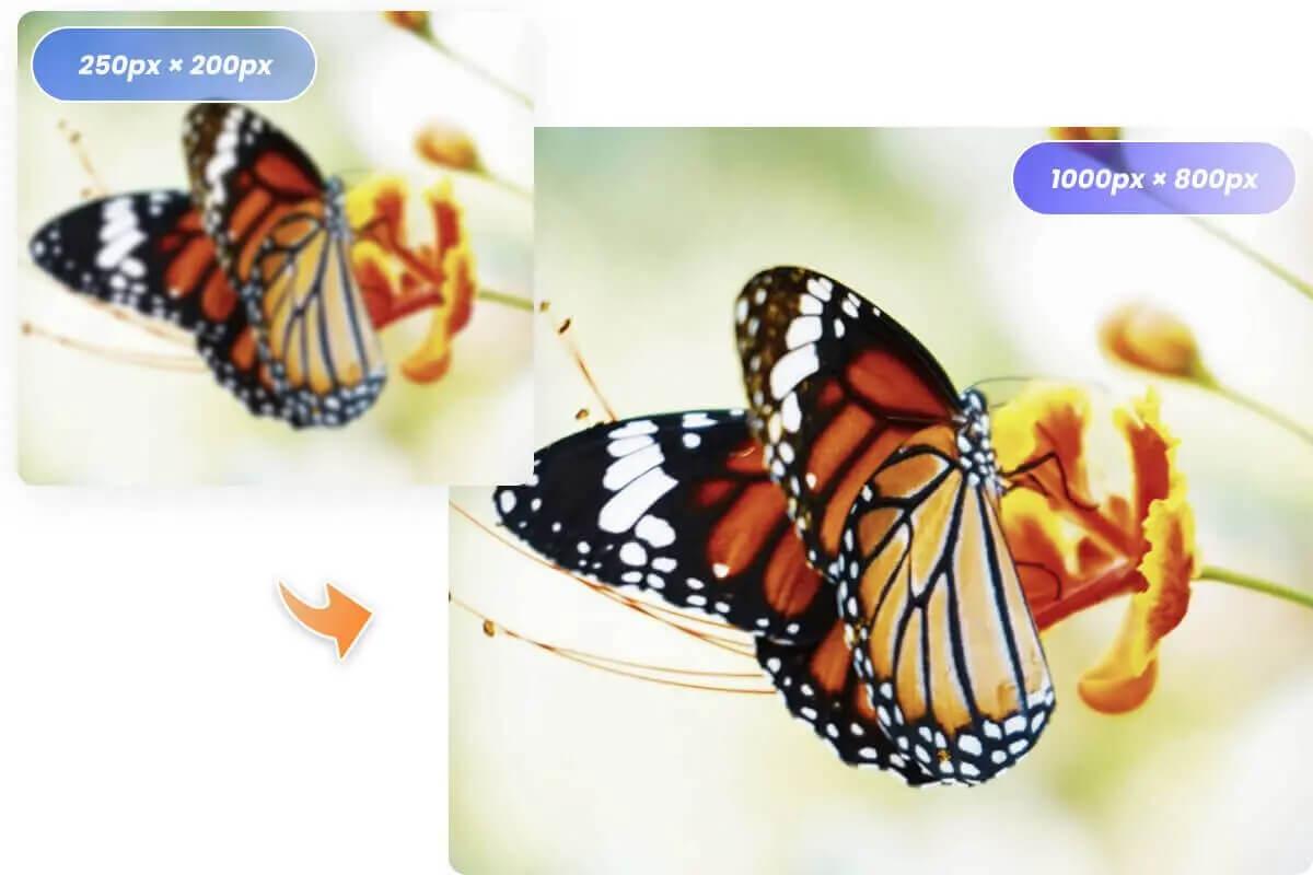 Mejora la calidad y la resolución del PNG con Fotor
