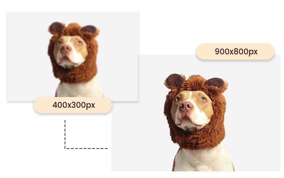 Mejore y mejore las imágenes para obtener una mejor calidad con Fotor