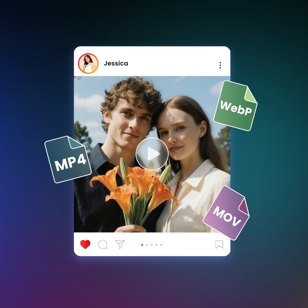 Ready for All Major Video Format and Platforms