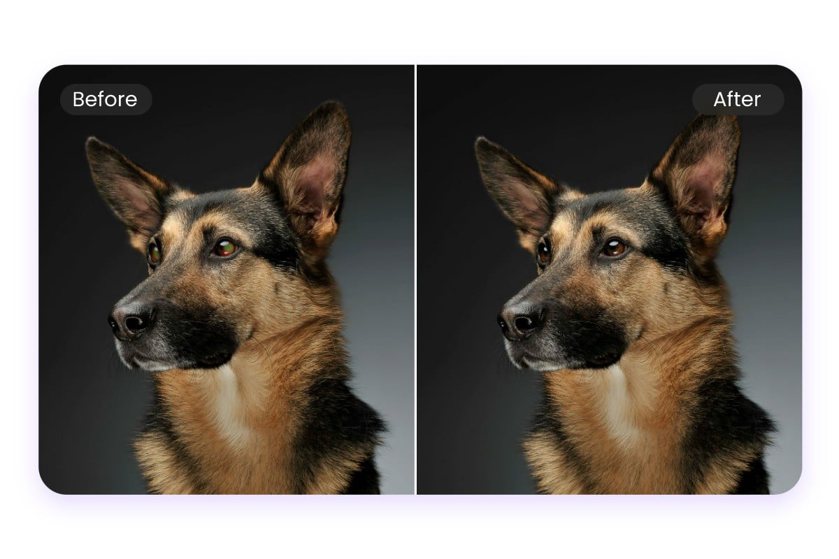 Remove the red eye of a yellow and black dog image